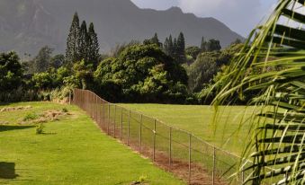 4. Kauai Pa..