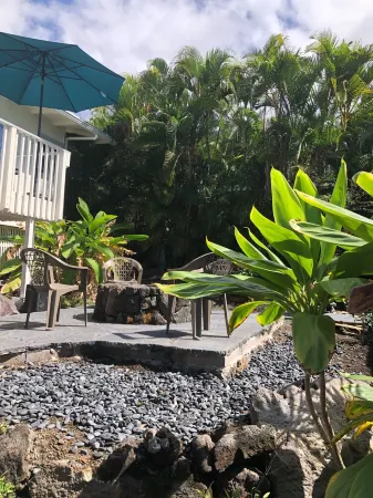 Kona Awesome Tropical PoolCottage/AC/GreatLocation