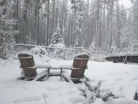 Rattlesnake Lake Area Cedar Cabin.  Direct Access to Trails. Pet Friendly.