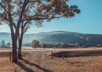 Elk View Cabin in Boxley Valley - 5 min to the Buffalo River!