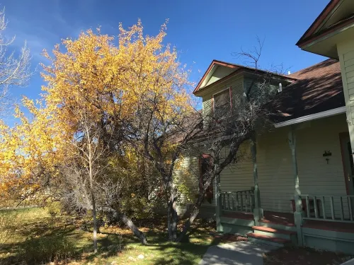 1910 Montana Charm! Experience the warmth and feel of a small- town home!