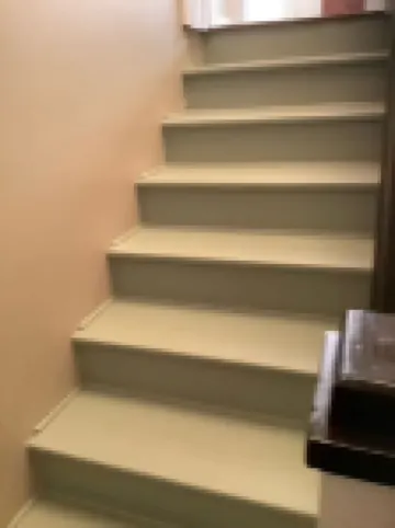 Country Comfort near Nashville at the Flying Pig Inn