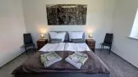 1 Bedroom Apartment in Bad Gottleuba-berggieãÿhã¼bel