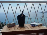 SPLENDID VILLA IMMERSED IN THE GREEN PEAK ON THE SEA Hotels in Ponza