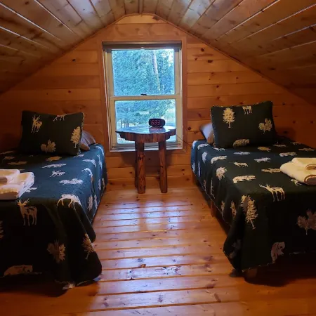 Remote cabin on 40 acres with wildlife and no distractions.