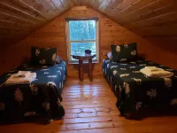Remote cabin on 40 acres with wildlife and no distractions.