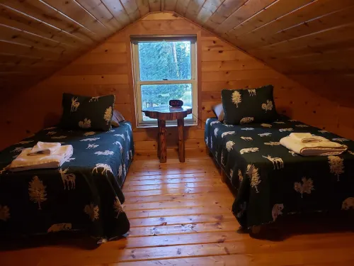 Remote cabin on 40 acres with wildlife and no distractions.
