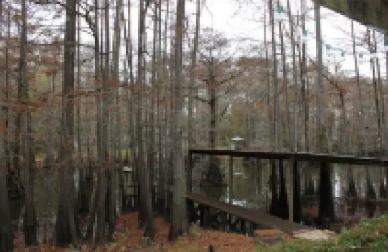 Waterfront 5 Bedroom