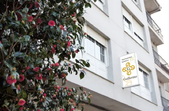 Tourist Apartment Guillermo 2 帕拉斯德麗酒店