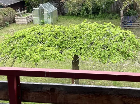 Vacation apartment "Saumpfad" 25 minutes to Legoland