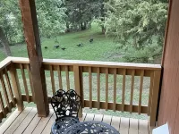 Running Water Lodge with great amenities Отели в г. Боном