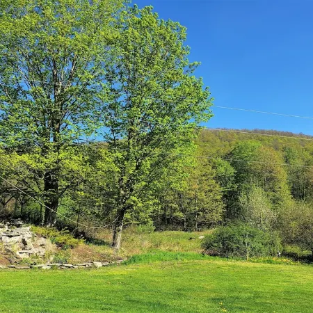 Hawks Mountain Farm, full apartment on a working farm.