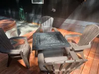 In the heart of the Redwood Forest