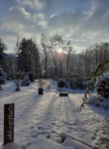 Natur(T)raum Oberstaufen - Holiday apartment directly on the banks of the Weißach