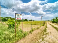 Cozy Tiny Homes Yellow