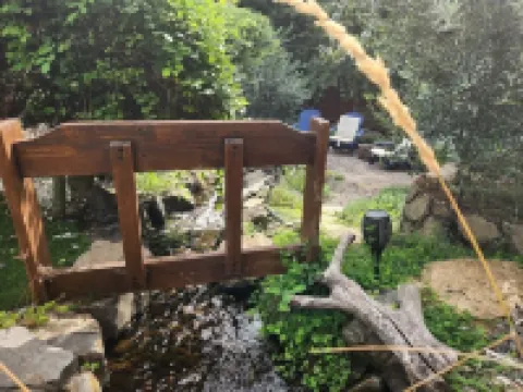 Garden Oasis in the City