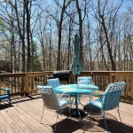 Agapé Cabin Lyfe near Cave Run Lake
