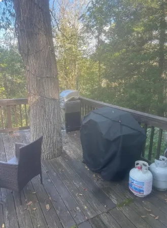 Eagle's Nest Cottage on Center Hill Lake with private path to the water's edge.