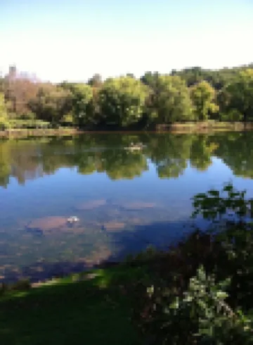 Cozy Cottage on the Delaware