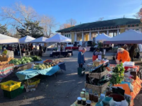 Tower Grove Pet Friendly 1 Bedroom - 4 mi to SLU & Barnes - Shared Laundry