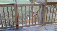 Quaint, secluded cabin with the feel of home. Sleeps 4 with home-like amenities.