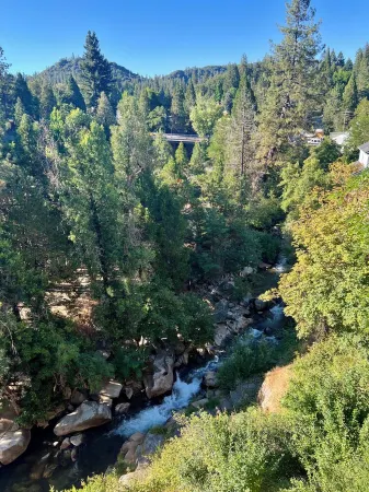 The Creekside French Retreat- Charming home w/ AC & WIFI in Downtown Nevada City