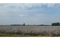 Cottage on riverbank one mile from Clarksdale in gated community