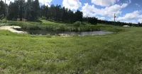 Tranquil Trailside