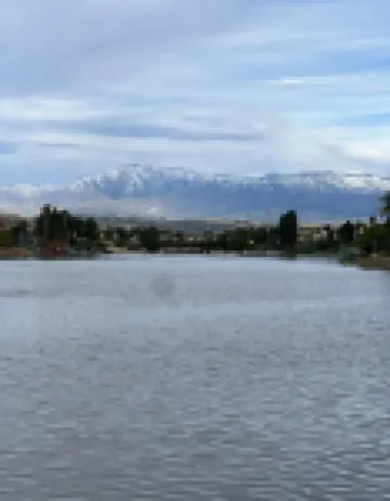 Charming 3-bedroom house in Moreno Valley with huge pool ,spa and connected lake