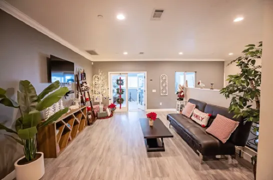 #3.Upstairs Disneyland8minutes*Anaheim Convent*littleSaigon*Beaches