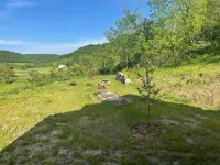 Cozy hillside retreat near trout stream, public forest and UTV trails.