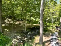 Luxurious 2 Bdrm Creekside Deckhouse Retreat