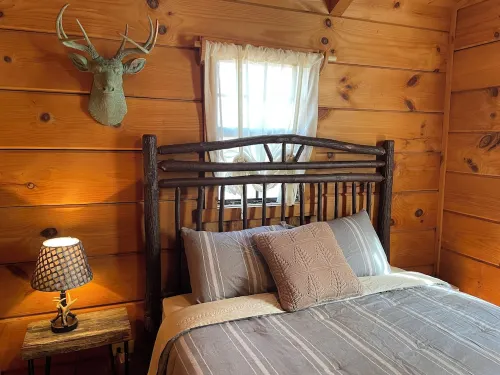 Cozy cabin in the woods! Pets welcome!