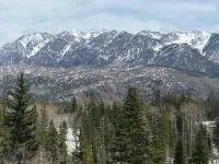 Mountain Escape! Renovated Condo