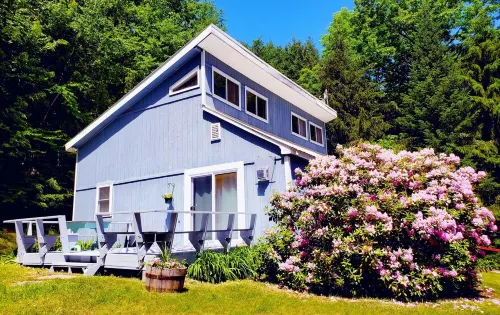 Cozy 4bd - Ski Okemo, Killington, Magic & Bromley