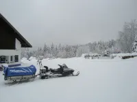 4-people apartment near center, lake, ski