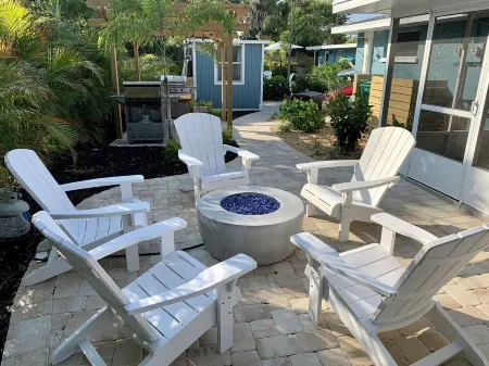 Oystercatcher at Shorebirds, Bikes and Kayaks 3 minutes walk to beach!