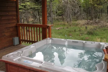 Solitude, 20 mile views, Wildlife, Hot tub, Skiing, Perfect for families!