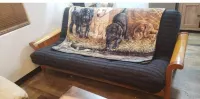 Cozy Native American Village! HOT TUB! PET FRIENDLY!Fenced-in yards!