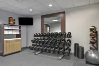 Homewood Suites by Hilton McAllen - gimnasio