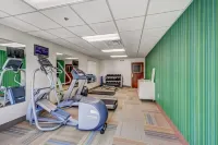 Holiday Inn Express & Suites GREENVILLE AIRPORT by IHG - Kuntosalit