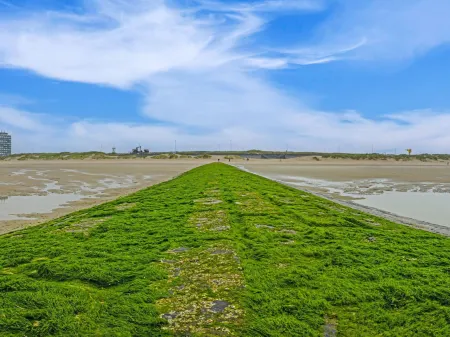 Spacious Studio with Separate Sleeping Area