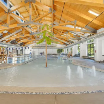 Paper Birch - Unit 10