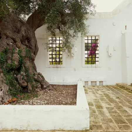 Masseria le Carrube