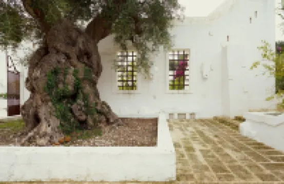 Masseria le Carrube