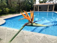 Hotel Spa Posada Tlaltenango - Pools