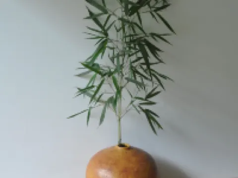 Room-Paradise is Real at Vale Martinho Z Hoteles en Vimieiro