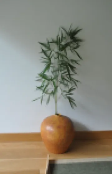 Room-Paradise is Real at Vale Martinho Z