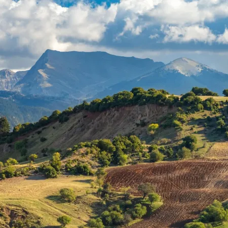 Evgenias House Ancient Olympia - Happy Rentals