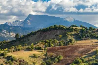 Yiannis' Maizonette Ancient Olympia - Happy Rentals